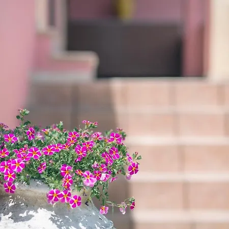 Iliachtida Διαμέρισμα Αλεπού