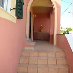 Iliachtida