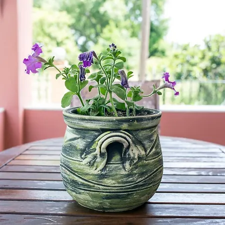 Apartmán Iliachtida *