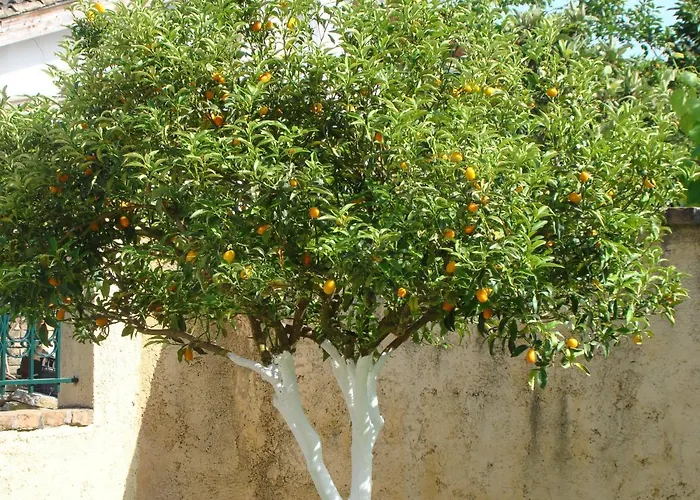 Iliachtida Apartman *